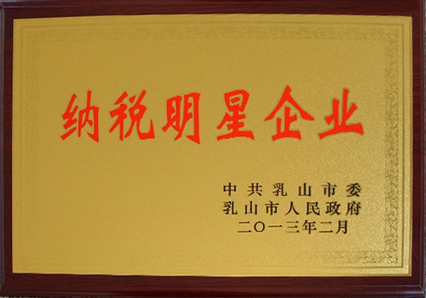 2013年度纳税明星企业