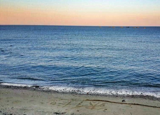 文华苑前沙滩实景图