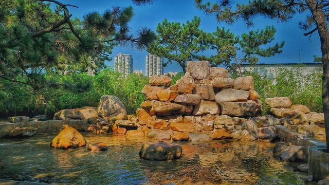 乳山市鹏达物业服务有限公司总经理周鲁浩被评为“2018年度威海市物业服务行业文明行业创建文明服务明星”(图12)