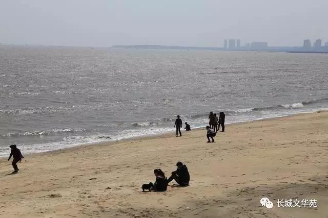 业主镜头中的长城文华花苑:不到长城文华花苑哪知春花烂漫正当时,怎一个“美”字了得!(图11)
