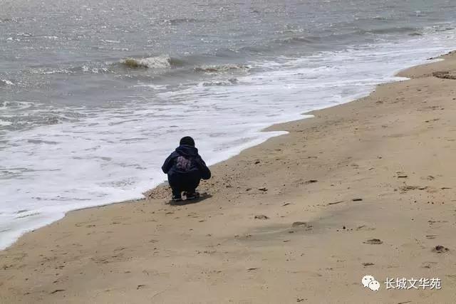 业主镜头中的长城文华花苑:不到长城文华花苑哪知春花烂漫正当时,怎一个“美”字了得!(图13)