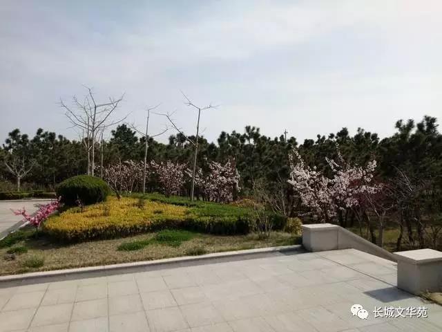 业主镜头中的长城文华花苑:不到长城文华花苑哪知春花烂漫正当时,怎一个“美”字了得!(图5)