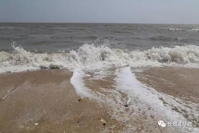 业主镜头中的长城文华花苑:不到长城文华花苑哪知春花烂漫正当时,怎一个“美”字了得!(图12)