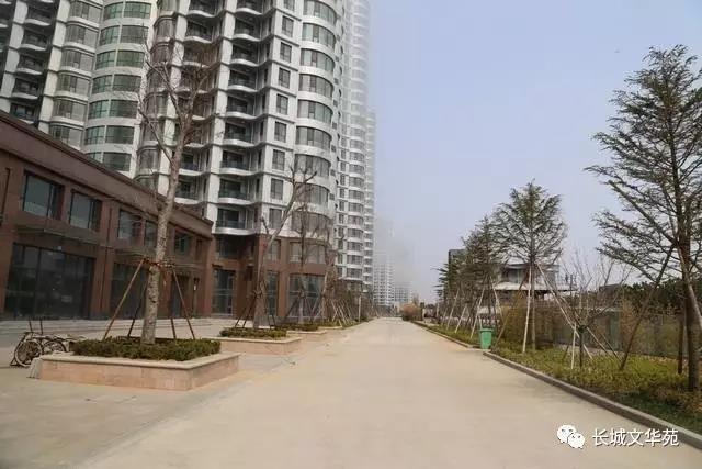 业主镜头中的长城文华花苑:不到长城文华花苑哪知春花烂漫正当时,怎一个“美”字了得!(图10)
