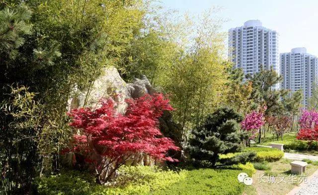又是一年春来到，长城文华花苑邀您赏春洗肺(图1)