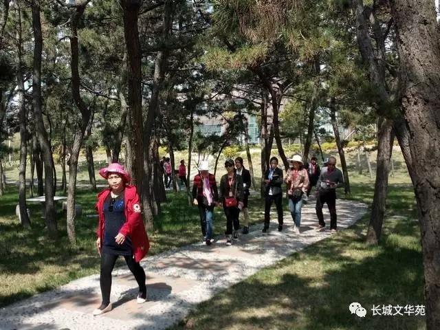 又是一年春来到，长城文华花苑邀您赏春洗肺(图7)