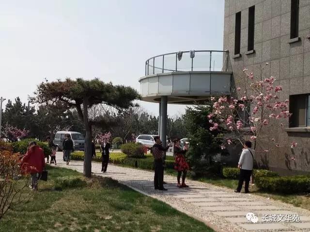 又是一年春来到，长城文华花苑邀您赏春洗肺(图6)