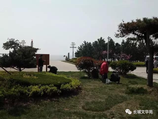 又是一年春来到，长城文华花苑邀您赏春洗肺(图9)