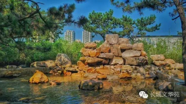 又是一年春来到，长城文华花苑邀您赏春洗肺(图16)